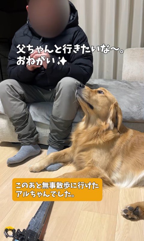 アルトくんのお散歩催促⑩