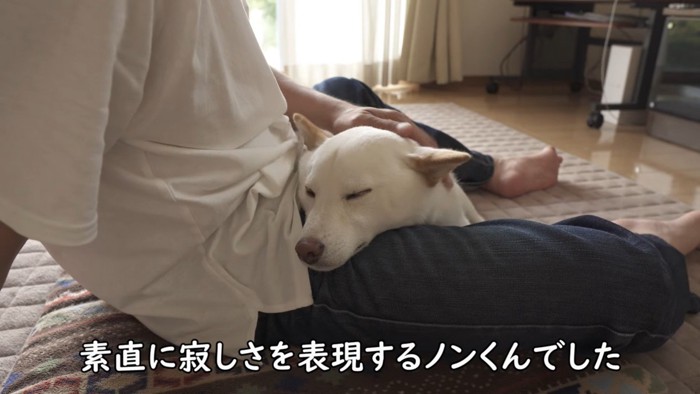 安心してウトウト…♪