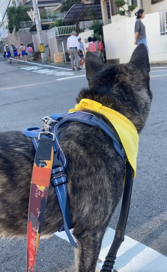 小学生を見守るオレオくん