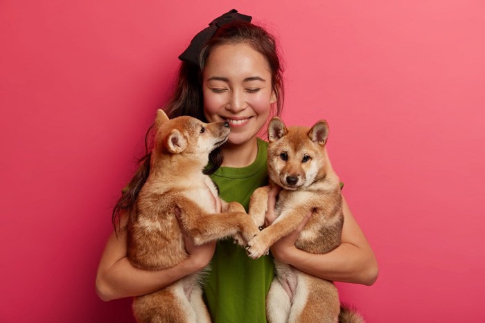 犬二頭と女性