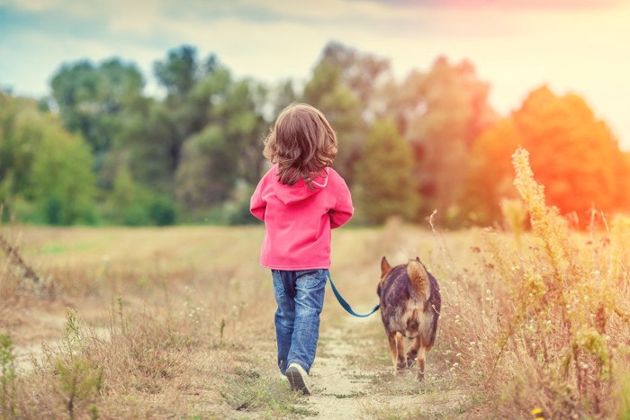 小さな女の子とお散歩中の犬の後姿