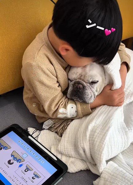 愛情たっぷりの光景