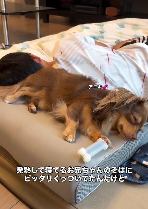 お兄ちゃんに寄り添うアムくん