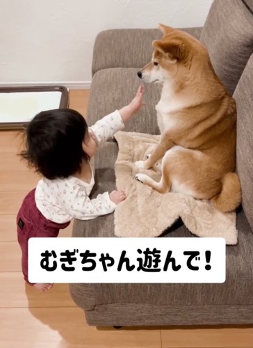 遊んでほしい女の子