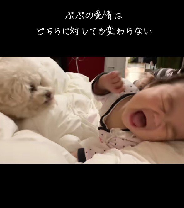 5年前…