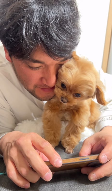 顔を押しつける小型犬
