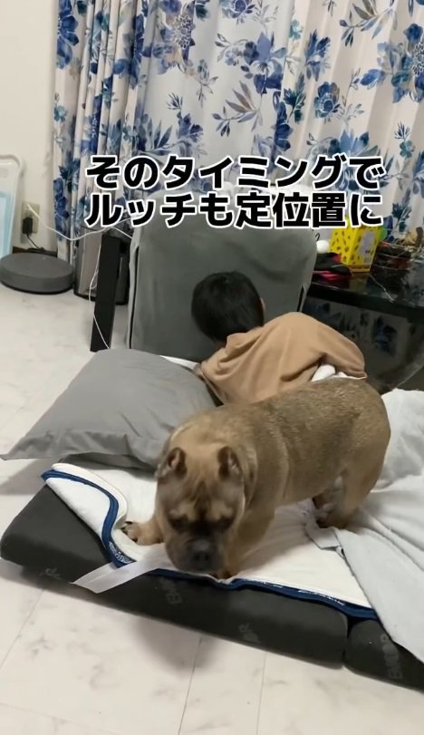 いつもの定位置へ