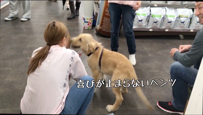 女性の顔を覗く子犬