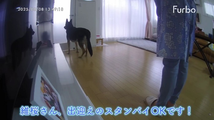 「帰ってきたみたい!」
