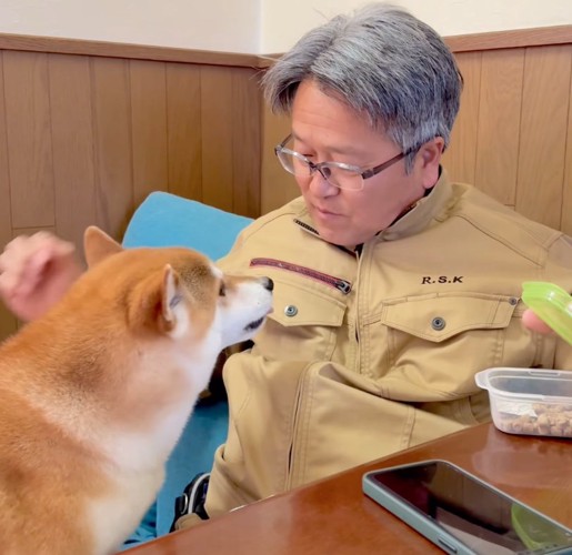 おやつをもらう柴犬