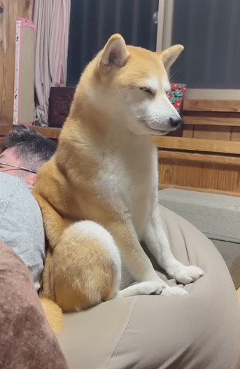 コタツで横になっている男性と、男性のそばで座る犬