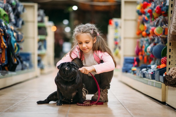 ペットショップの犬と少女