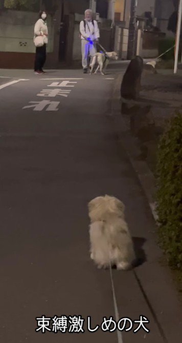 「まだやってる」