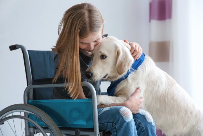 車椅子の少女に寄り添う犬