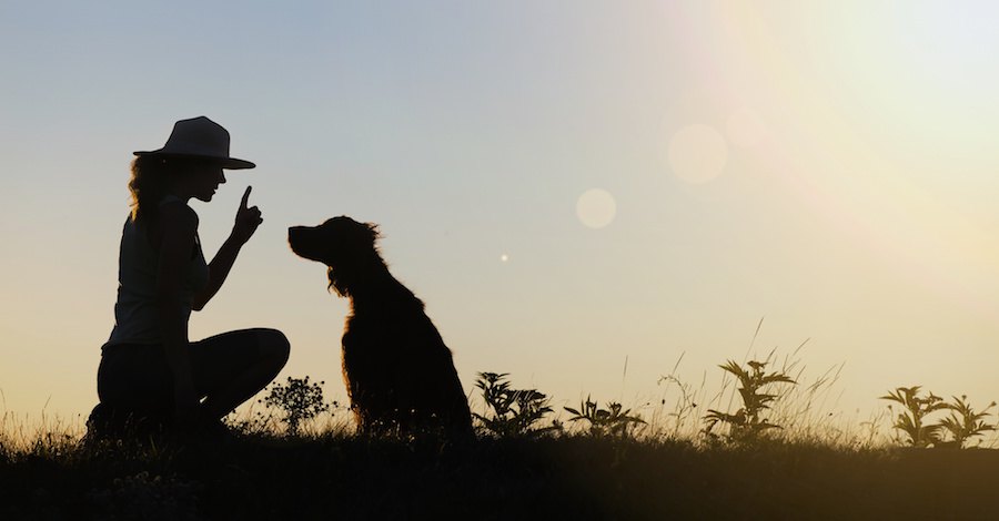 トレーニングする女性と犬のシルエット