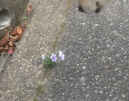 尊い気づき
