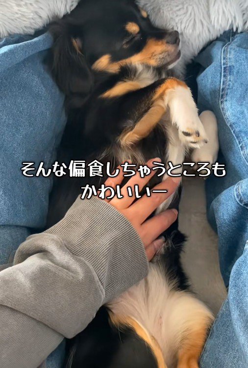 偏食は困るけれど可愛い♡