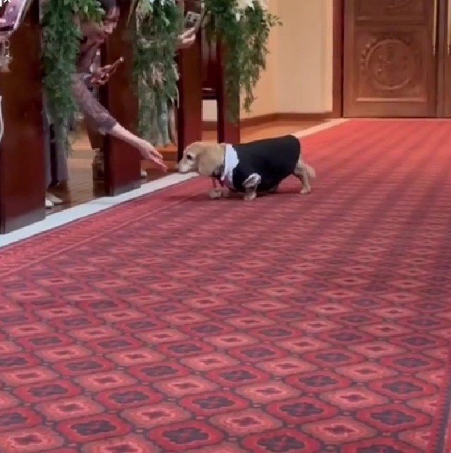 参列者へご挨拶♡