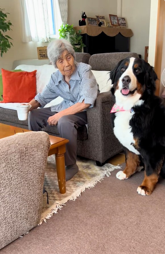 飼い主さんを見るリンちゃん