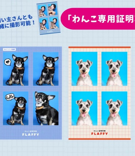 愛犬用