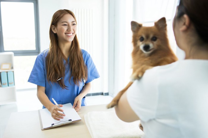 病院スタッフと話す犬を抱いた飼い主