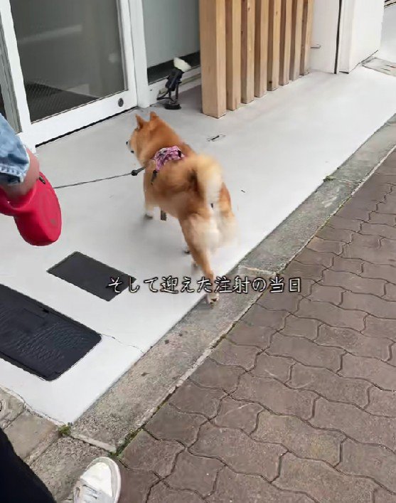 予定通り病院へ