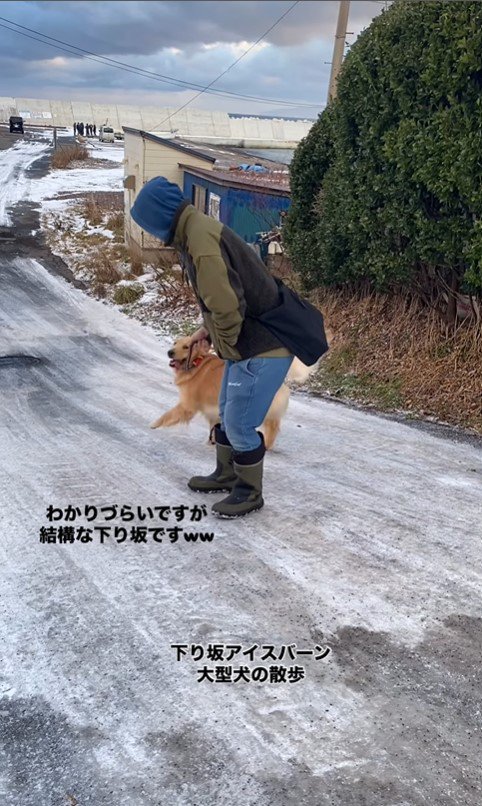 凍った坂を下るじろ君と飼い主さん3