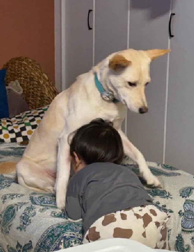 スノーちゃんに顔をうずめる息子さん3