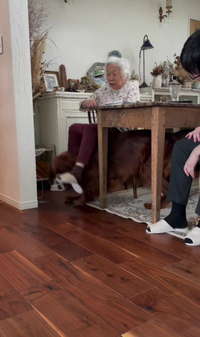 するりと回避♪