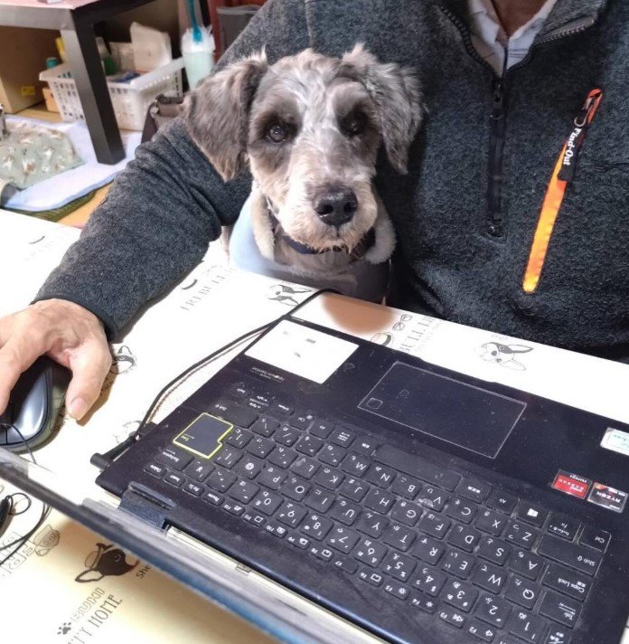 新しい犬生に向けて…