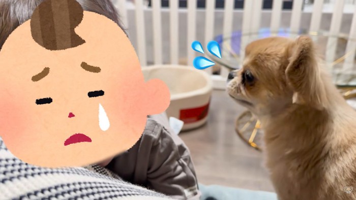 拗ねていた男の子ですが…