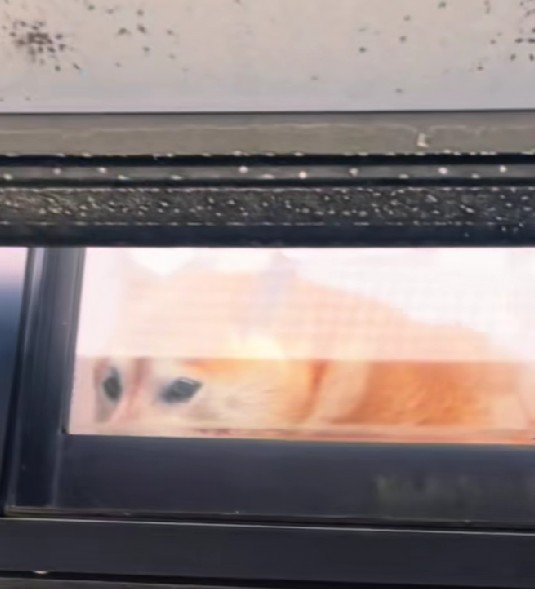 「そんなわけ…」