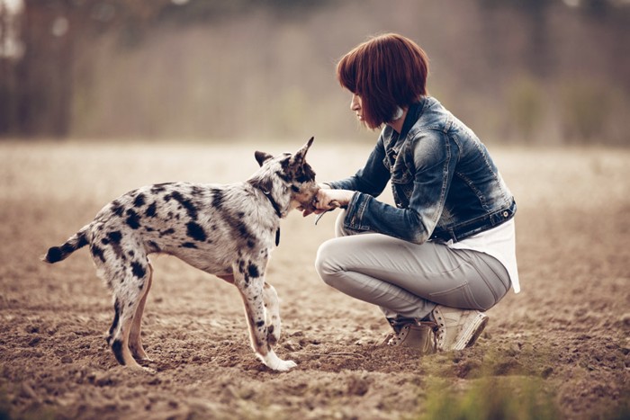 飼い主と犬