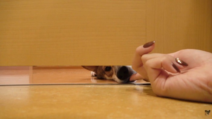 「まだ?早く出ておいでよ~」