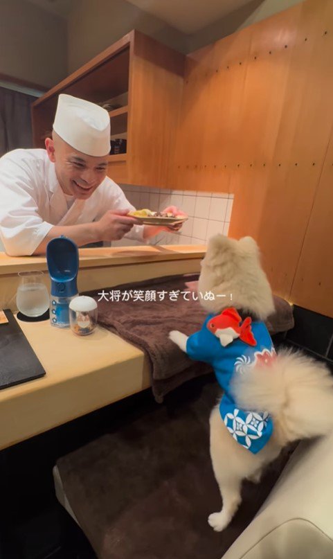 お店で食事するむぎくん6