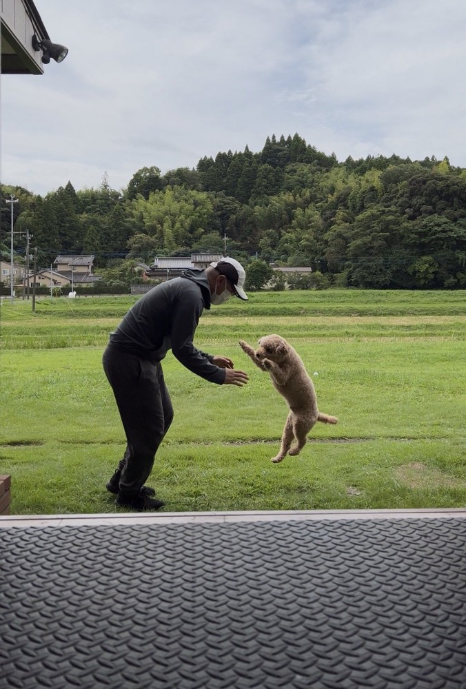 尊い