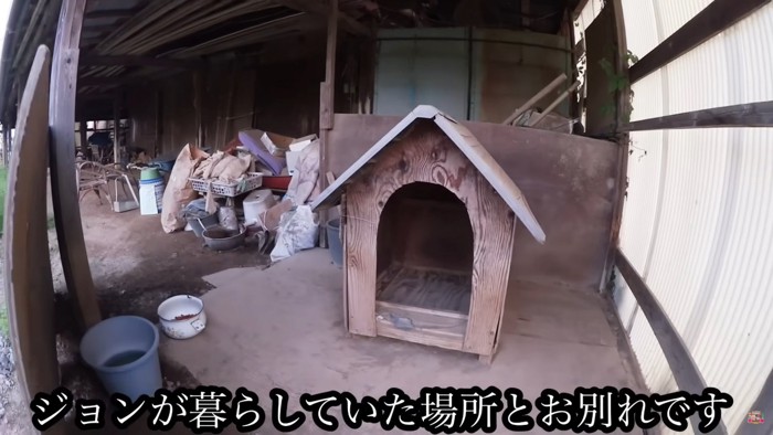 これからの犬生が幸せであるように…