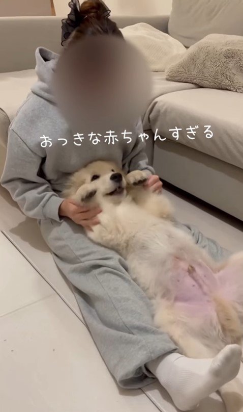 赤ちゃんのように甘えるぴの君2