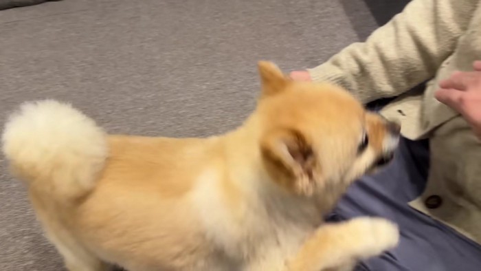 やっぱりダメだった！！