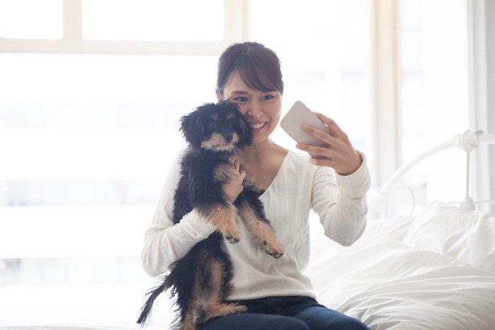 撮影されてストレスを感じている犬