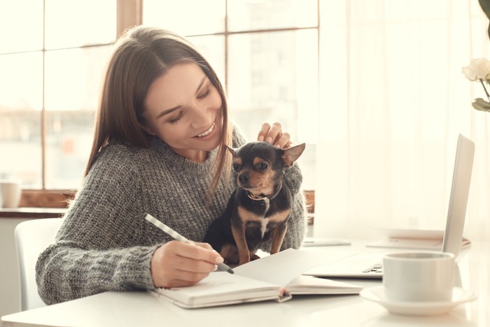 チワワを膝にのせて仕事をする女性