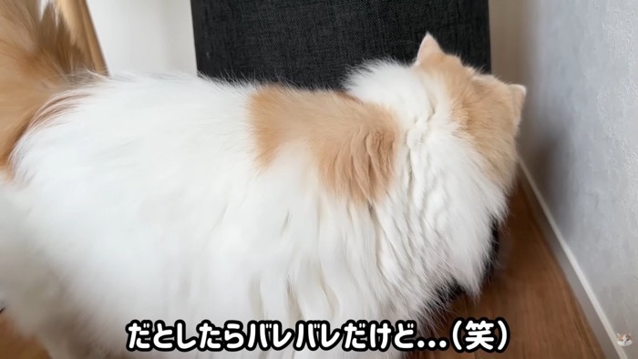 レモンさんは穴を覗き込んで…