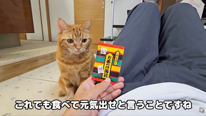 お見舞いのお茶漬けが！