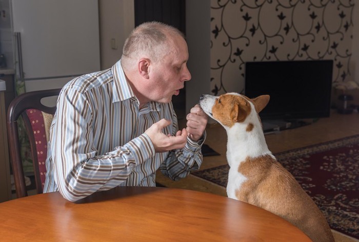 食卓に座って飼い主さんと会話している犬