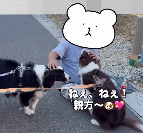 撫でられるりっかちゃん