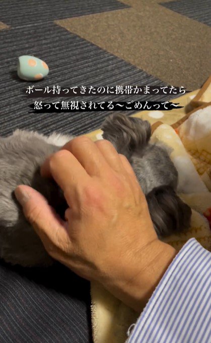 飼い主さんが一生懸命さすりますが…