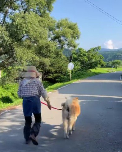 2人の歩調はいつもそろっています