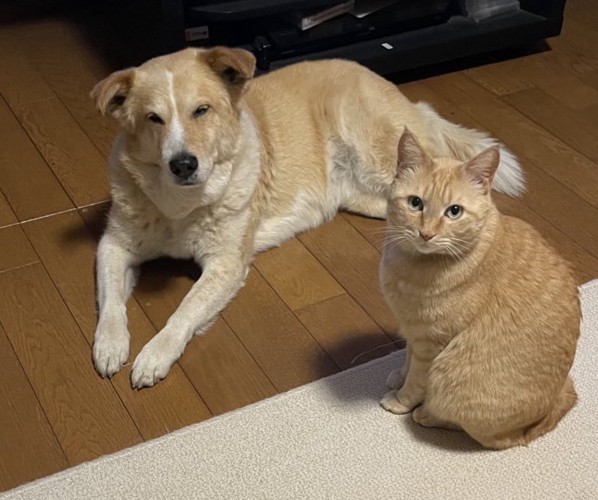 仲良し家族