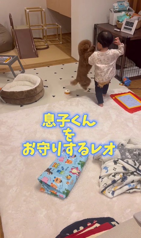 男の子を心配するレオくん⑩