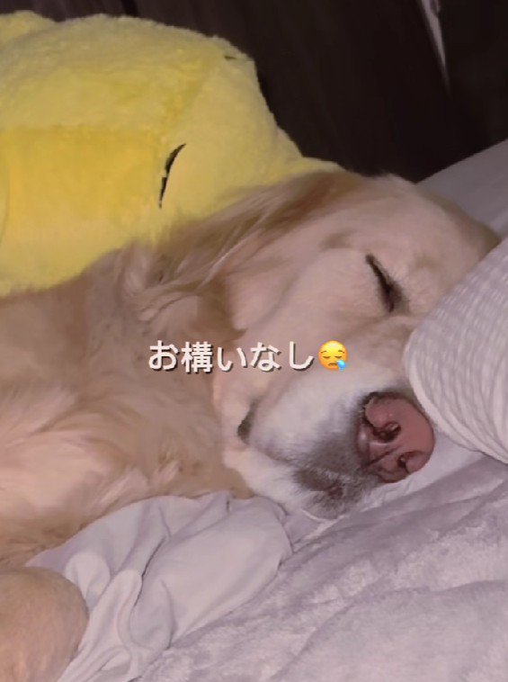 動じない姿に感嘆